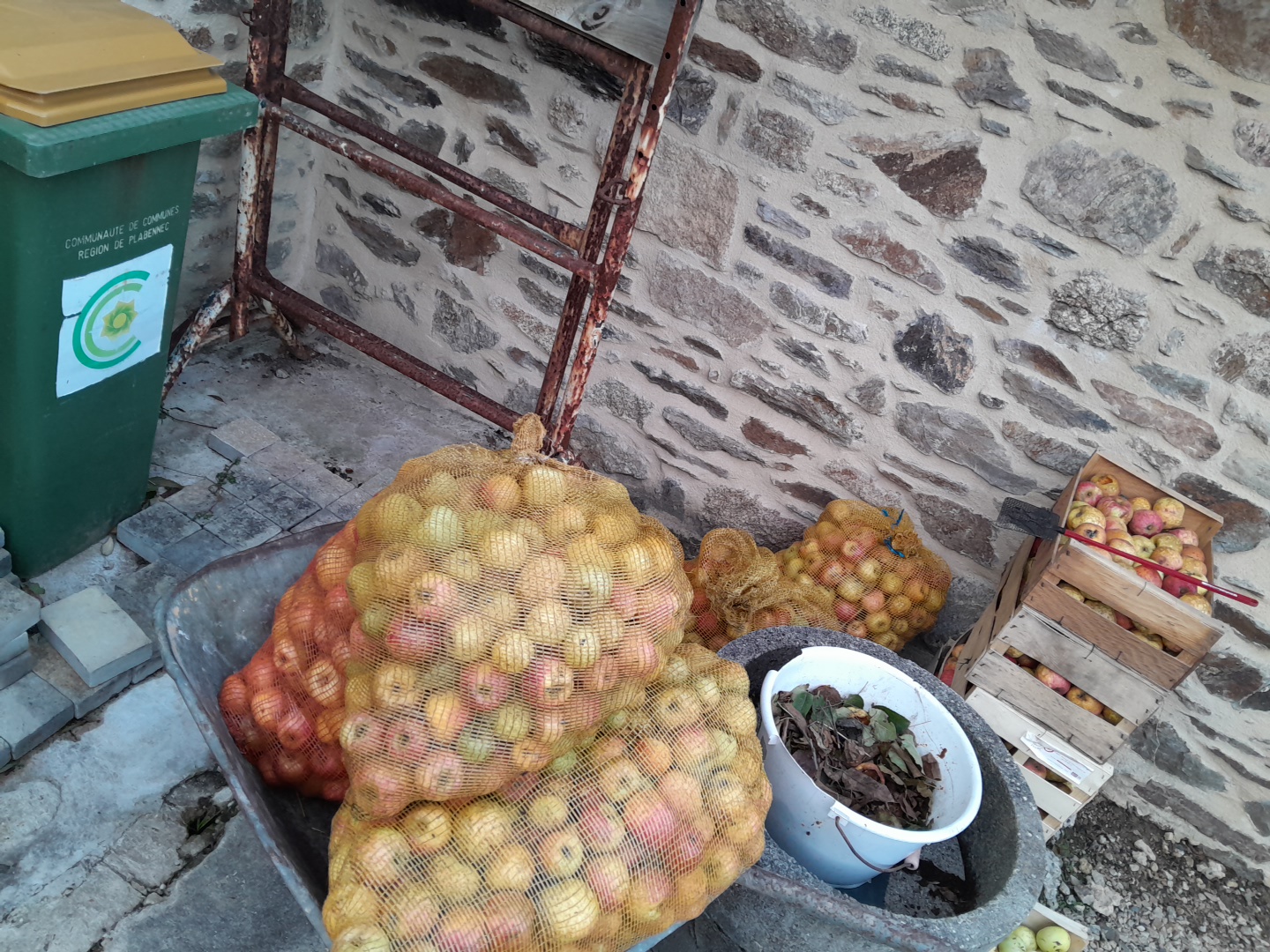 Fruit — pommes en filet (pommes)
